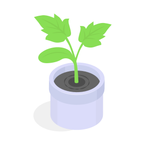 Plant, Decorative, Interior, Houseplant, Indoor Plant, icon