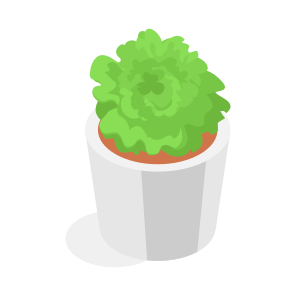 Plant, Decorative, Ornamental, Houseplant, Indoor Plant, icon