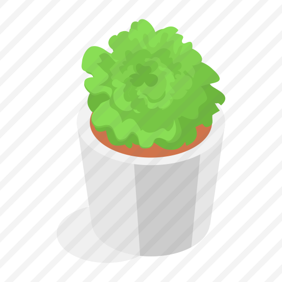 Plant, Decorative, Ornamental, Houseplant, Indoor Plant, preview