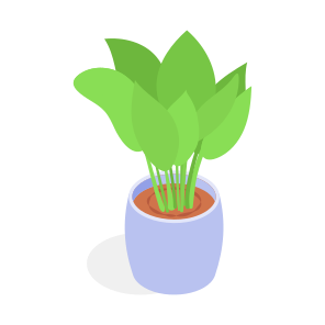 Plant, Decorative, Potted, Greenery, Home, icon