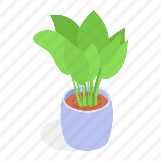 Plant, Decorative, Potted, Greenery, Home, preview