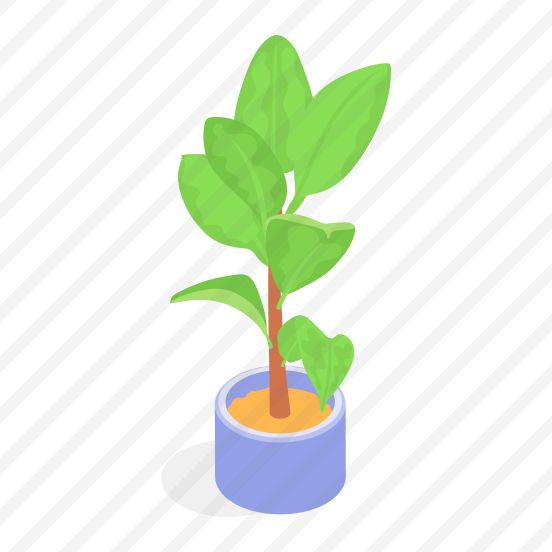 Plant, Decorative, Potted, Greenery, Indoor Plant, preview