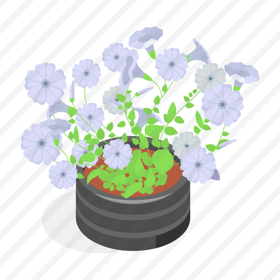 Plant, Decorative, Potted, Houseplant, Botanical preview