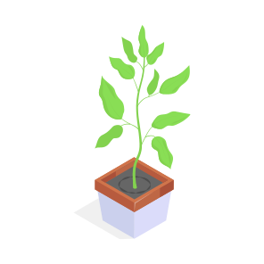 Plant, Decorative, Potted, Houseplant, Gardening icon