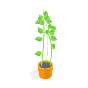 Plant, Decorative, Potted, Houseplant, Interior icon