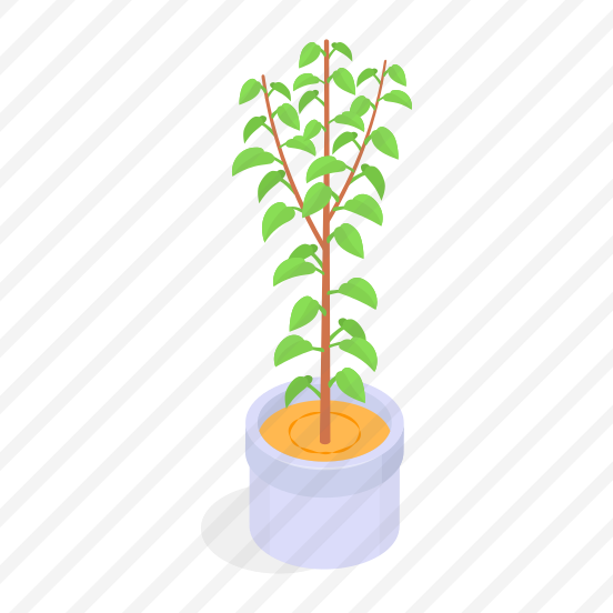 Plant, Decorative, Potted, Houseplant, Nature, preview