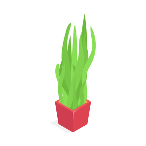 Plant, Decorative, Potted, Houseplant, Ornamental, icon