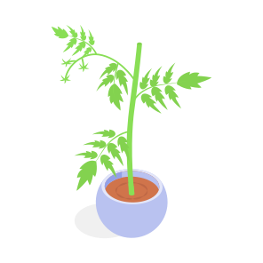 Plant, Decorative, Potted, Houseplant, Sprout icon