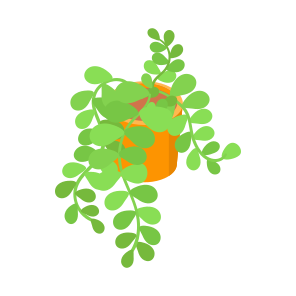 Plant, Decorative, Potted, Indoor Plant, Planter, icon