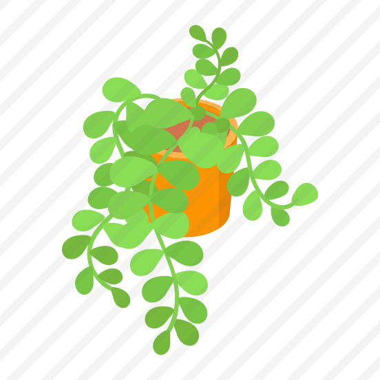 Plant, Decorative, Potted, Indoor Plant, Planter, preview