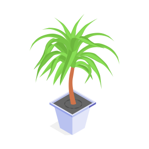 Plant, Decorative, Potted, Leaves, Indoor Plant, icon