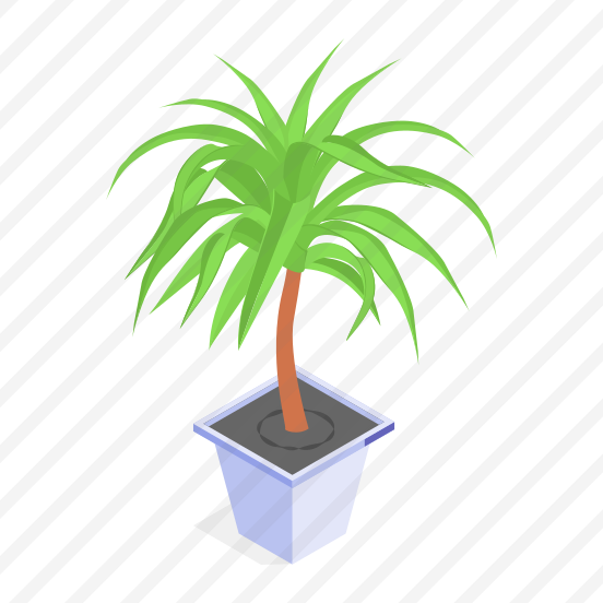 Plant, Decorative, Potted, Leaves, Indoor Plant, preview