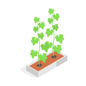Plant, Decorative, Potted, Nature, Greenery, icon