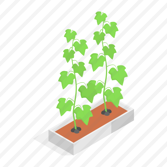 Plant, Decorative, Potted, Nature, Greenery, preview