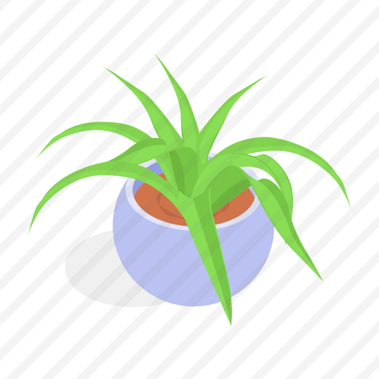 Plant, Decorative, Potted, Planter, Indoor Plant, preview