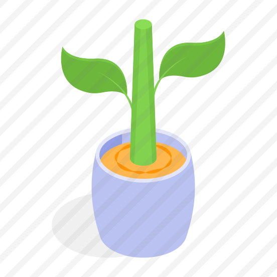 Plant, Potted, Decorative, Indoor, Houseplant preview