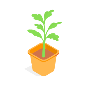 Plant, Potted, Houseplant, Indoor Plant, Planter icon