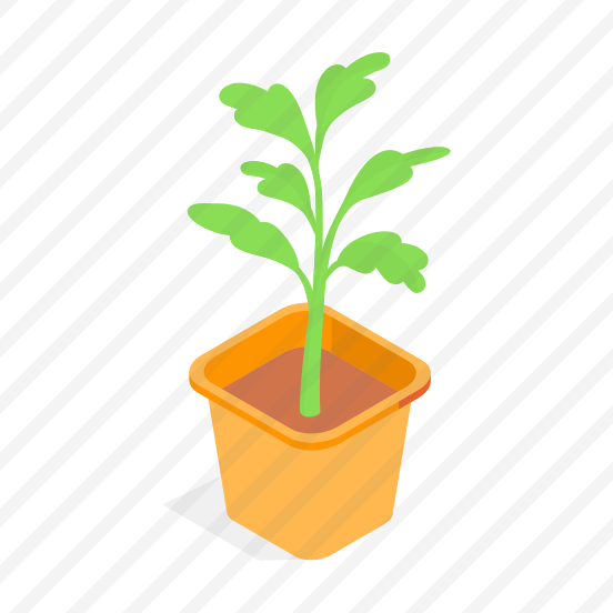 Plant, Potted, Houseplant, Indoor Plant, Planter preview