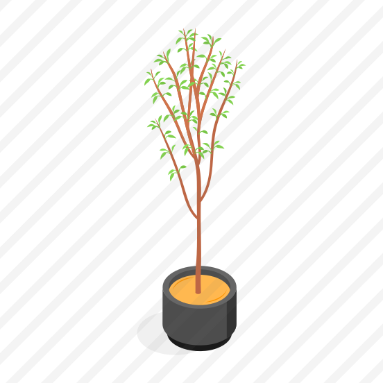 Plant, Tree, Decorative, Potted, Houseplant preview