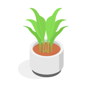 Potted, Plant, Houseplant, Indoor, Decorative icon
