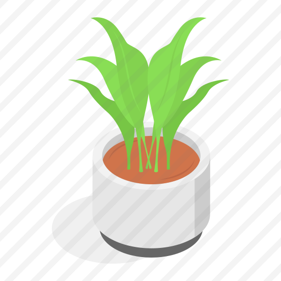 Potted, Plant, Houseplant, Indoor, Decorative preview
