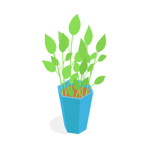 Potted, Plant, Indoor, Decorative, Gardening icon