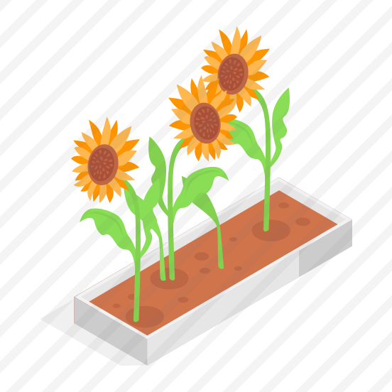 Sunflower, Flowers, Plant, Decorative, Nature preview