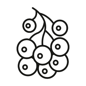 Berries, Blueberries, Grapes, Fruit, Nature icon