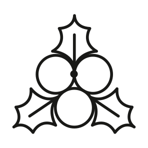 Christmas, Berries, Holy, Mistletoe, Acai icon