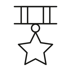 Military, Reward, Award, Achievement, Bravery icon