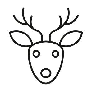 Reindeer, Christmas, Animal, Horns, Antler icon
