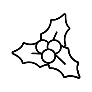 Mistletoe, Christmas, Holly, Berries, Winter, icon