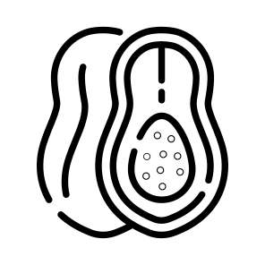 Papaya, Fruit, Food, Nutrition, Edible icon