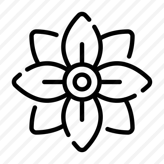Plumeria, Flower, Floral, Blooming, Petals preview