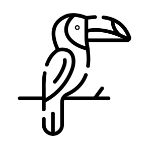 Toucan, Bird, Creature, Specie, Tropical icon