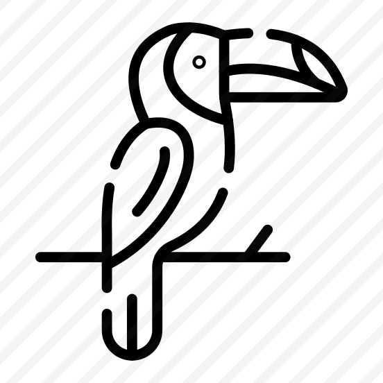 Toucan, Bird, Creature, Specie, Tropical preview