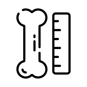Bone, Measurement, Cartilage, Anatomy, Joints icon