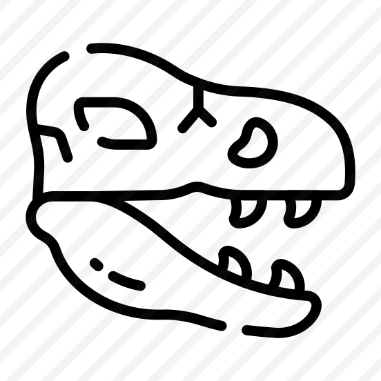 Skull, Skullcap, Anatomy, Fossil, Remains preview