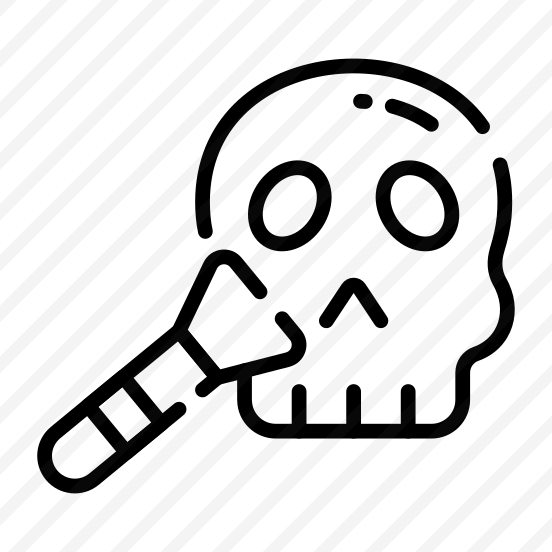 Skull, Skullcap, Cranium, Dead, Anatomy preview