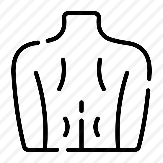 Back, Spine, Muscles, Body, Posture preview