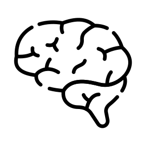 Brain, Cortex, Brainstem, Neuron, Mind icon