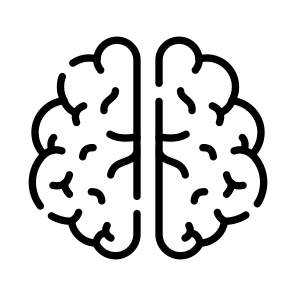 Brain, Cortex, Neuron, Mind, Organ icon