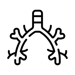 Bronchus, Bronchi, Respiration, Breathing, Organ icon