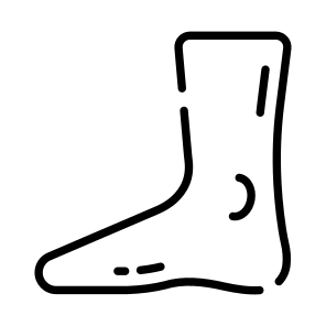 Foot, Ankle, Heel, Toes, Anatomy icon