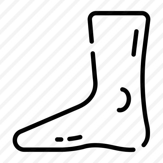 Foot, Ankle, Heel, Toes, Anatomy preview