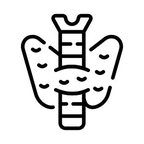 Gland, Neck, Endocrine, Bone, Thyroid icon