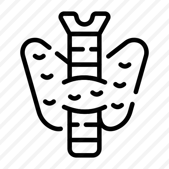 Gland, Neck, Endocrine, Bone, Thyroid preview