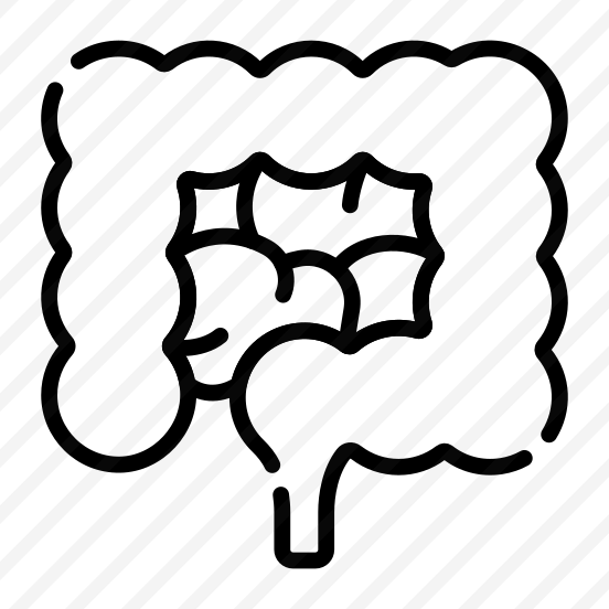 Intestine, Gut, Digestive, Organ, Anatomy preview
