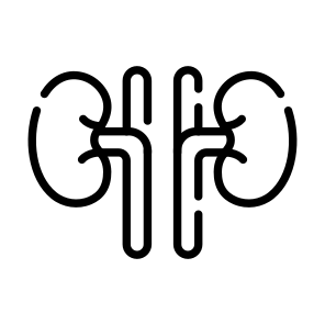 Kidneys, Renal, Urinary, Excretion, Organ icon
