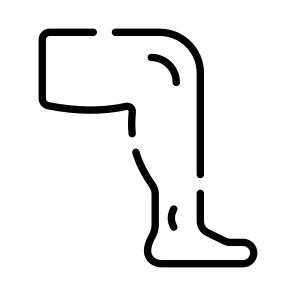 Leg, Limb, Calf, Muscle, Anatomy icon